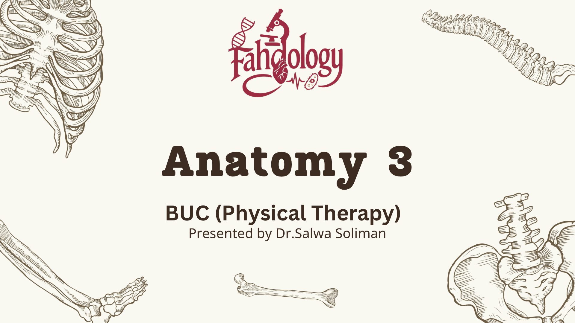 Anatomy 3 (Physical Therapy)